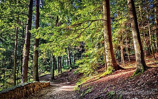 Hocking Hills Trail_DSCF06270-2.jpg - Hocking Hills State Park photographed near Logan, Ohio, USA.